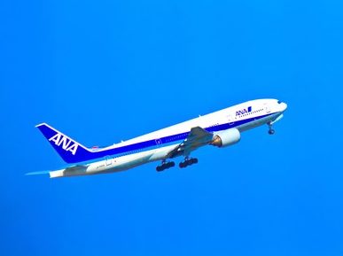 ANA全日空の格安割引航空券を手軽に電話予約 | リバティウイング ...