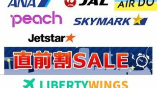 【石垣空港発ー東京/羽田空港着】直前割引の格安飛行機予約