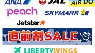 【沖縄/那覇空港発ー鹿児島空港着】直前割引の格安飛行機予約